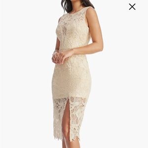 Dress the Population Avianna Lace Dress Size Small NWT